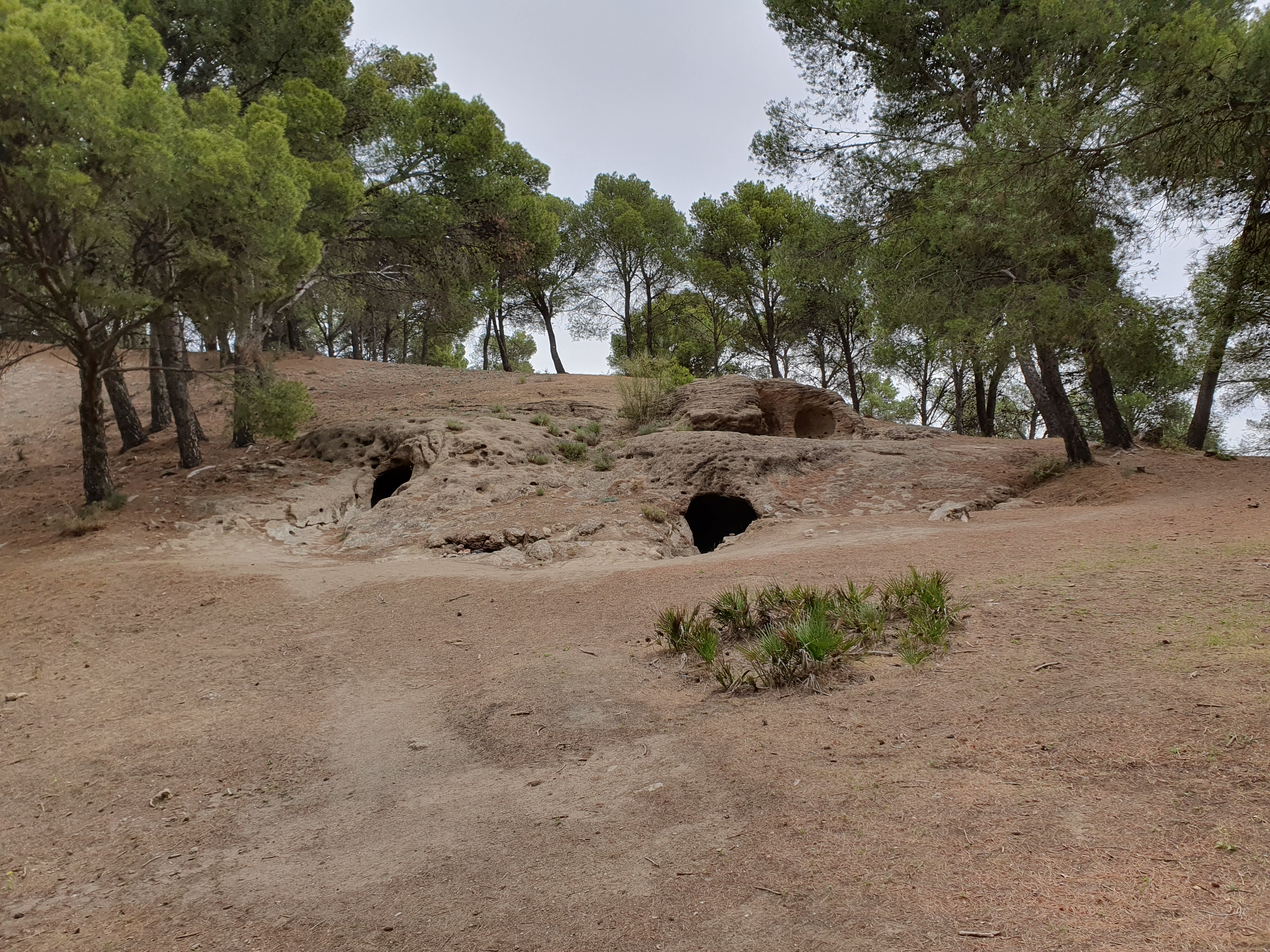 necropolis4